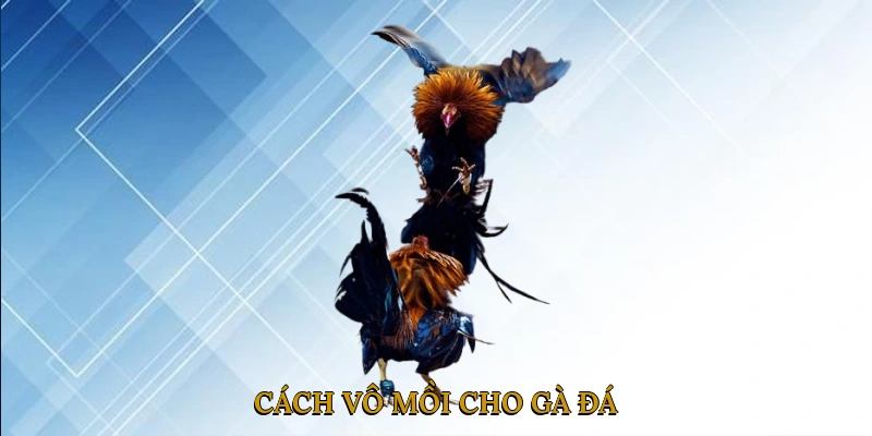 Cách Vô Mồi Cho Gà Đá