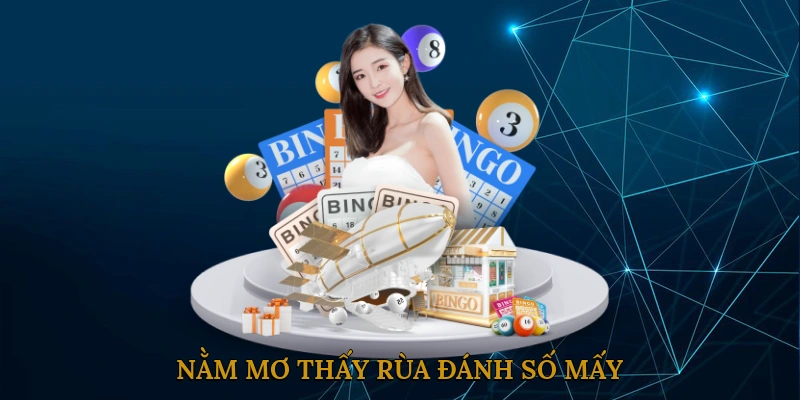 Nằm Mơ Thấy Rùa Đánh Số Mấy