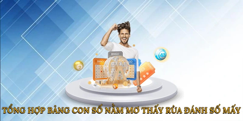 Tổng Hợp Bảng Con Số Nằm Mơ Thấy Rùa Đánh Số Mấy