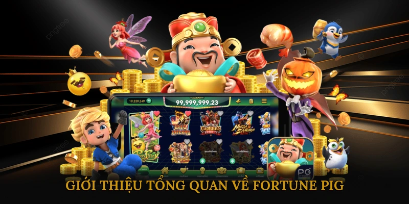 Giới thiệu tổng quan về Fortune Pig